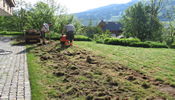 Rasensanierung - Rasenerneuerung